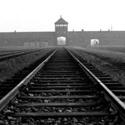 Auschwitz Tours